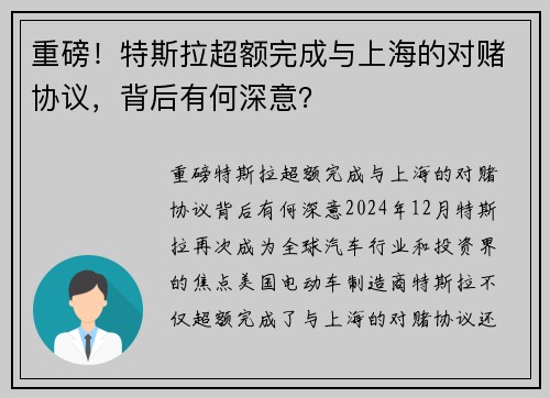 重磅！特斯拉超额完成与上海的对赌协议，背后有何深意？