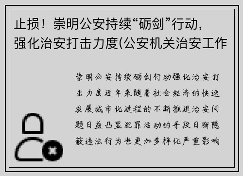 止损！崇明公安持续“砺剑”行动，强化治安打击力度(公安机关治安工作亮点)
