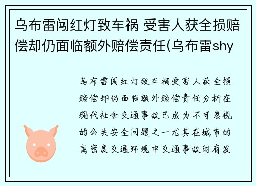 乌布雷闯红灯致车祸 受害人获全损赔偿却仍面临额外赔偿责任(乌布雷shy)