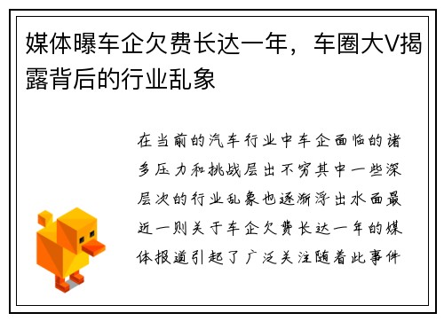 媒体曝车企欠费长达一年，车圈大V揭露背后的行业乱象